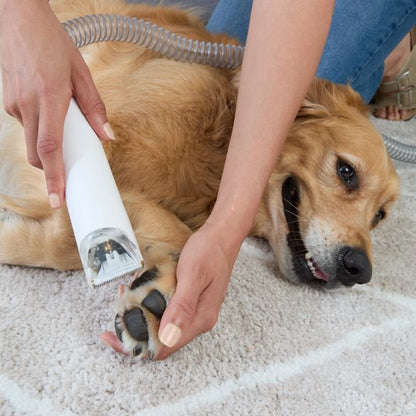 Pet Vacuum and Grooming Kit - Anko