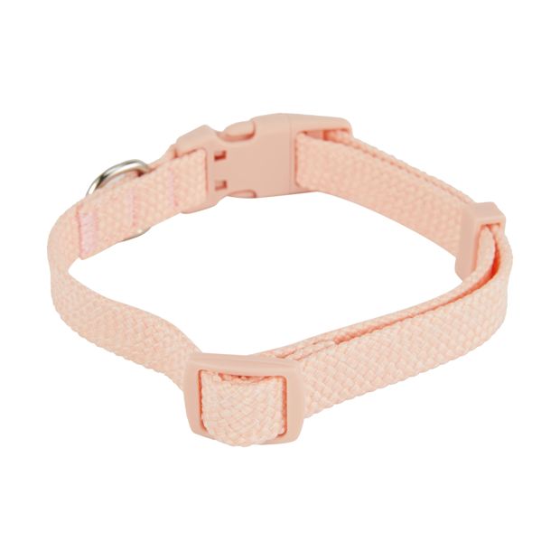 Pet Collar, Small, Pink - Anko