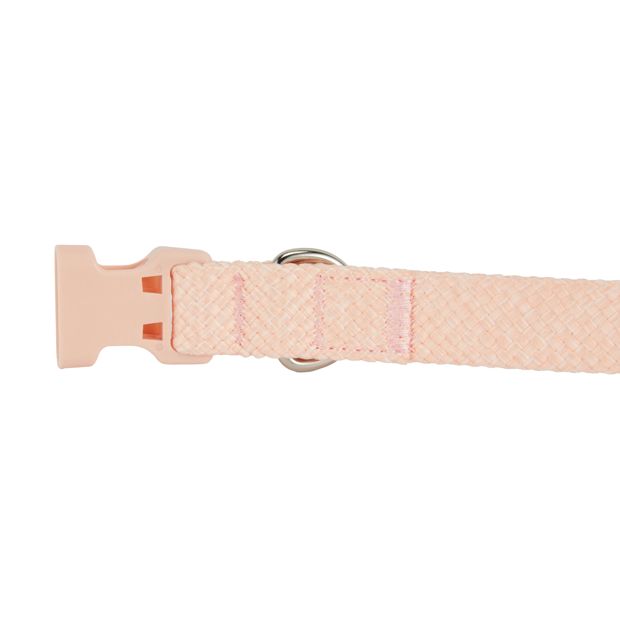 Pet Collar, Medium, Pink - Anko