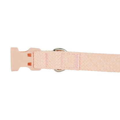 Pet Collar, Medium, Pink - Anko