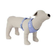 Pet Knit Harness, Small, Blue - Anko