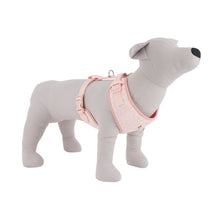 Pet Knit Harness, Small, Pink - Anko