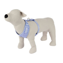 Pet Knit Harness, Large, Blue - Anko