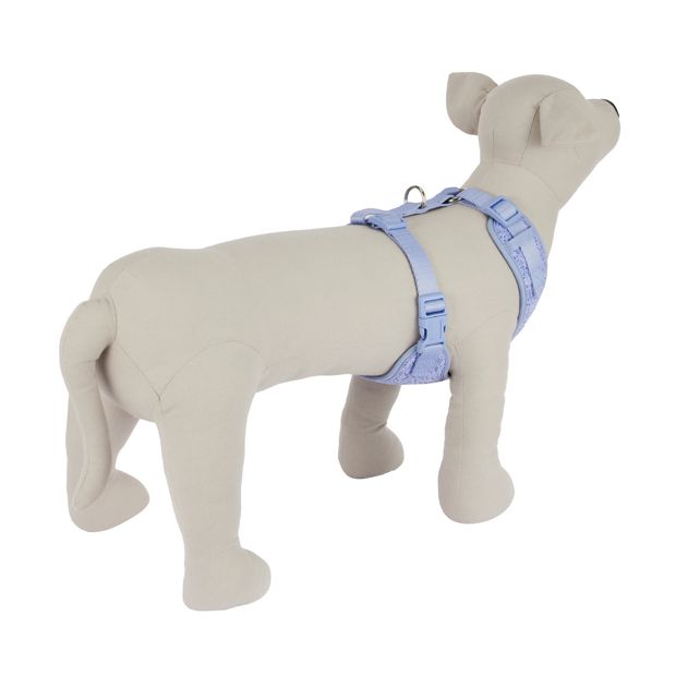 Pet Knit Harness, Large, Blue - Anko