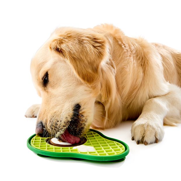 Novelty Pet Lick Mat, Assorted - Anko