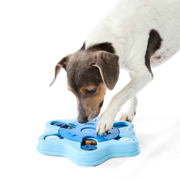 Pet Puzzle Treat Maze - Interactive Enrichment Toy