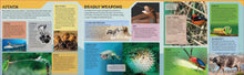 Lonely Planet Kids Deadly Animal Atlas by Camilla de la Bedoyere - Book
