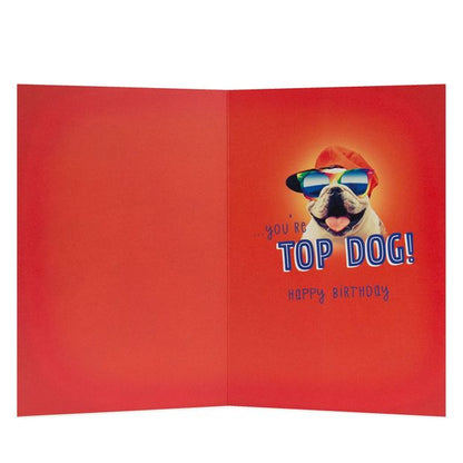 Connections from Hallmark Birthday Card - Cool Bulldog