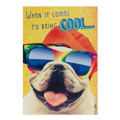 Connections from Hallmark Birthday Card - Cool Bulldog