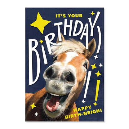 Connections from Hallmark Birthday Card - Horse