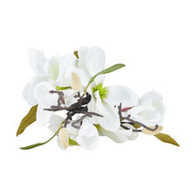 Artificial Magnolia Bunch - Anko