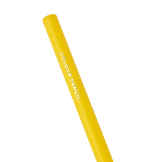 12 Pack Bright Coloured Pencils - Anko