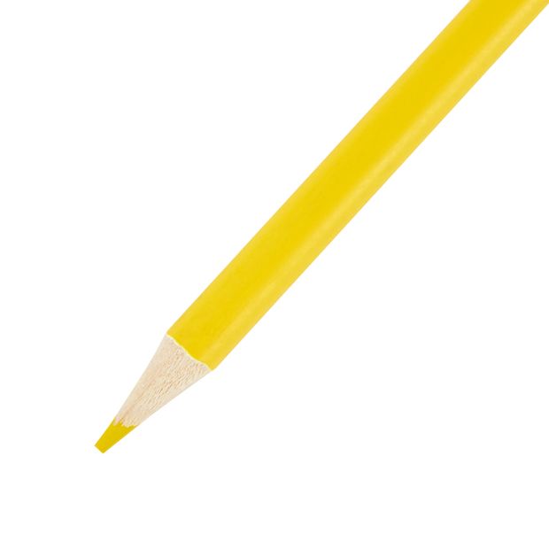 12 Pack Bright Coloured Pencils - Anko