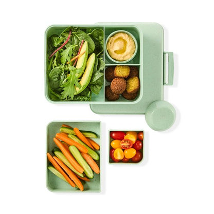 Sage Wheat Straw Bento Snack Box - Anko