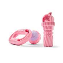 3 Pack Pet Toy Puppy - Pink