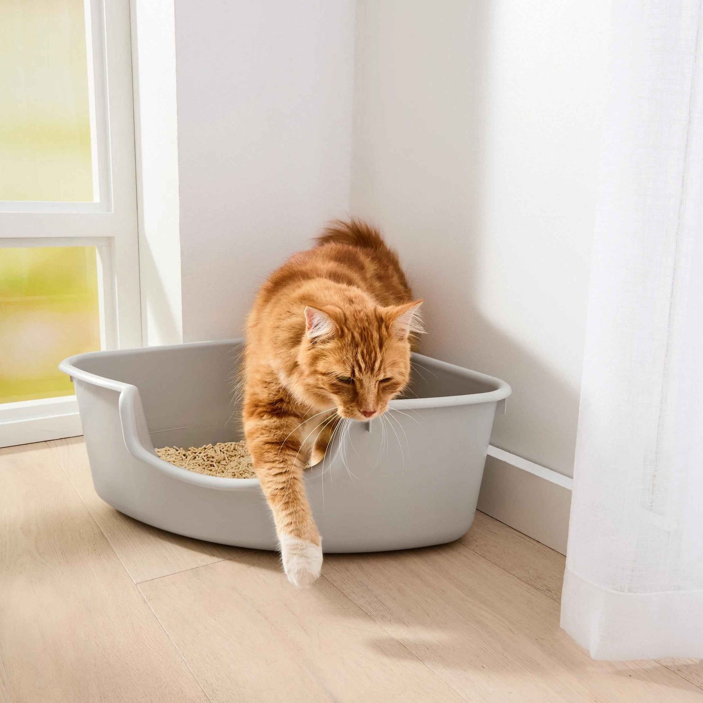 Cat Litter Tray Corner