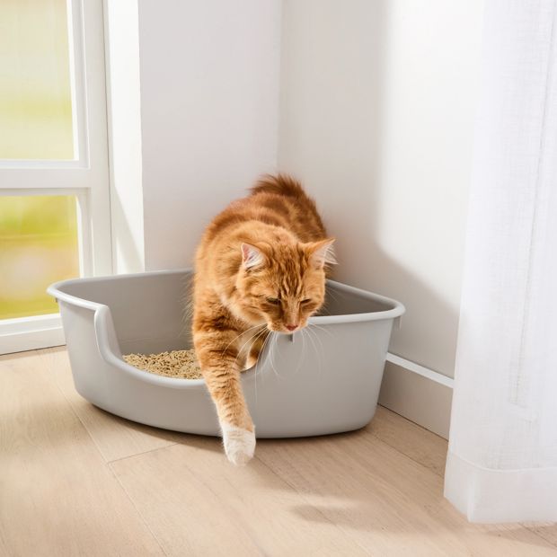 Cat Litter Tray Corner - Anko
