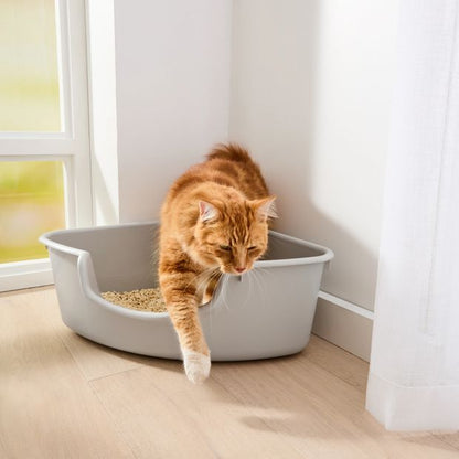 Cat Litter Tray Corner - Anko