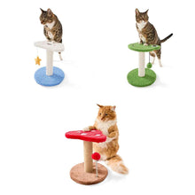 Cat Tower Novelty - Assorted