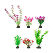Aquarium Natural Plants 6 Pack - Small