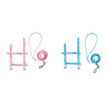 Cat Harness and Lead Set, Assorted - Anko