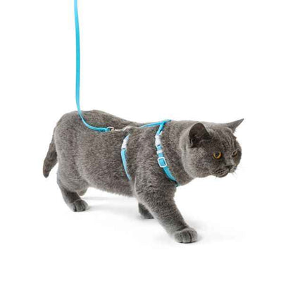 Cat Harness and Lead Set, Assorted - Anko