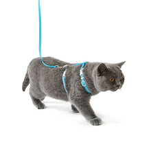 Cat Harness and Lead Set, Assorted - Anko