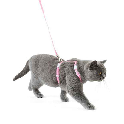 Cat Harness and Lead Set, Assorted - Anko