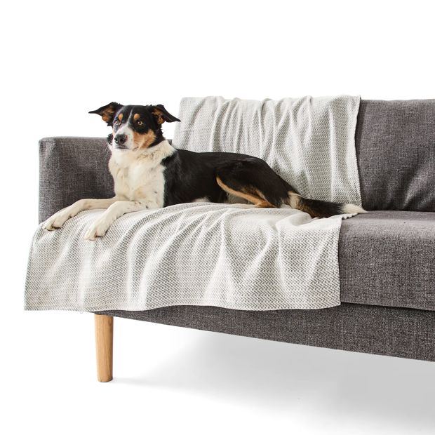 Pet Couch Cover Water Resistant, Large, Assorted - Anko
