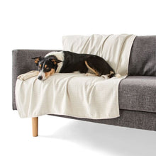 Pet Couch Cover Water Resistant, Large, Assorted - Anko