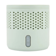 400g Green Moisture Absorber - Anko