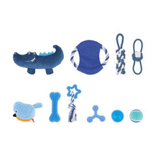 10 Pack Pet Toy Boy Puppy - Anko