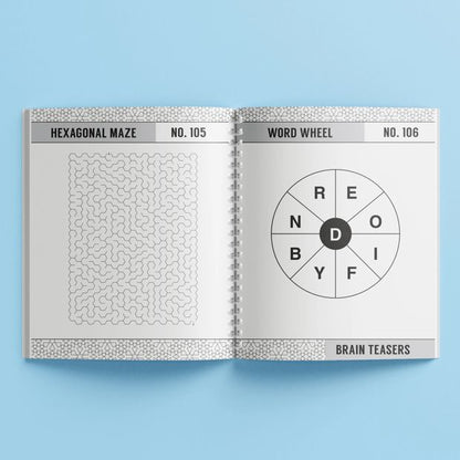 250 Puzzles: Brain Teasers - Book
