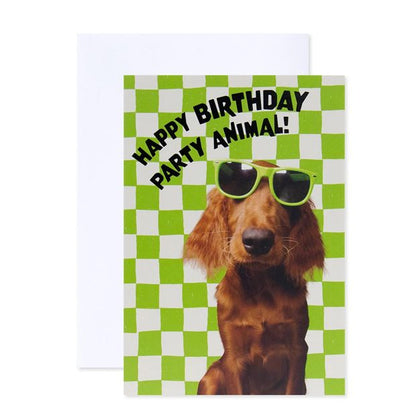 Connections from Hallmark Birthday Card - Happy Birthday Party Animal