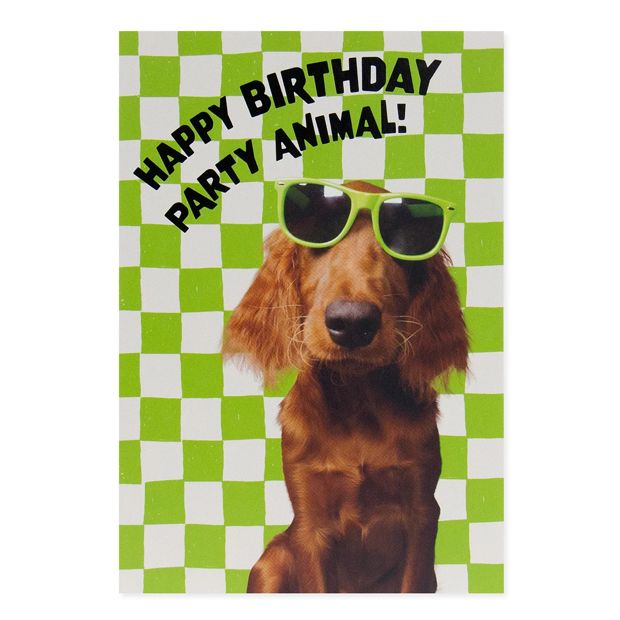 Connections from Hallmark Birthday Card - Happy Birthday Party Animal