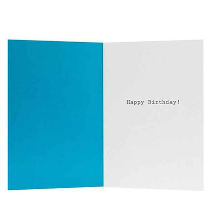 Connections from Hallmark Birthday Card - Man Birthday Checklist