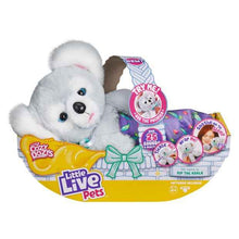 Little Live Pets Cozy Dozy Koala Kip Playset