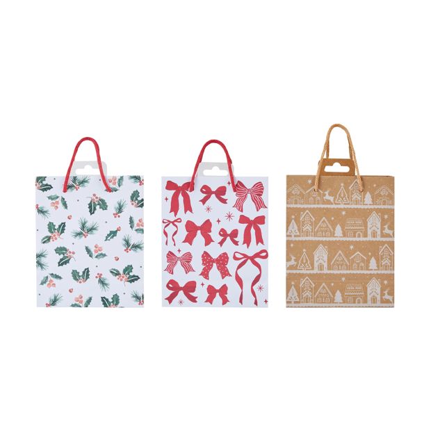 Christmas Gift Bag, Small, Assorted - Anko