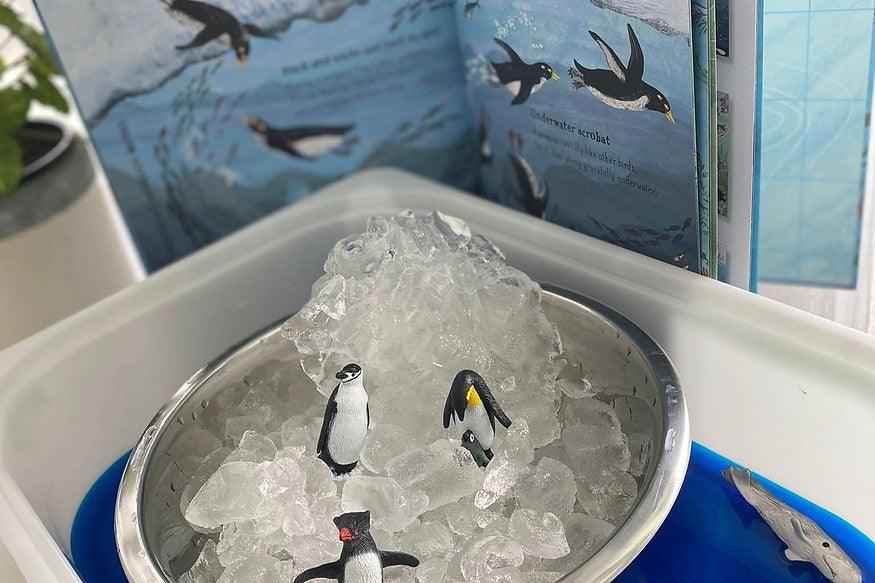 Tube of 10 Antarctica Animal Figurines Montessori Language Learning Figurines by Safari Ltd Toob Range Ocean Toys 3yrs+