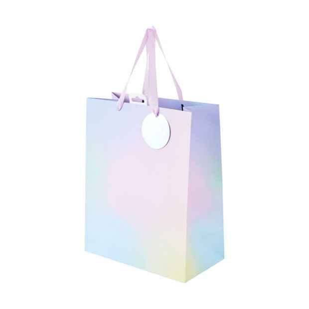 Ombre Gift Bag, Large - Anko