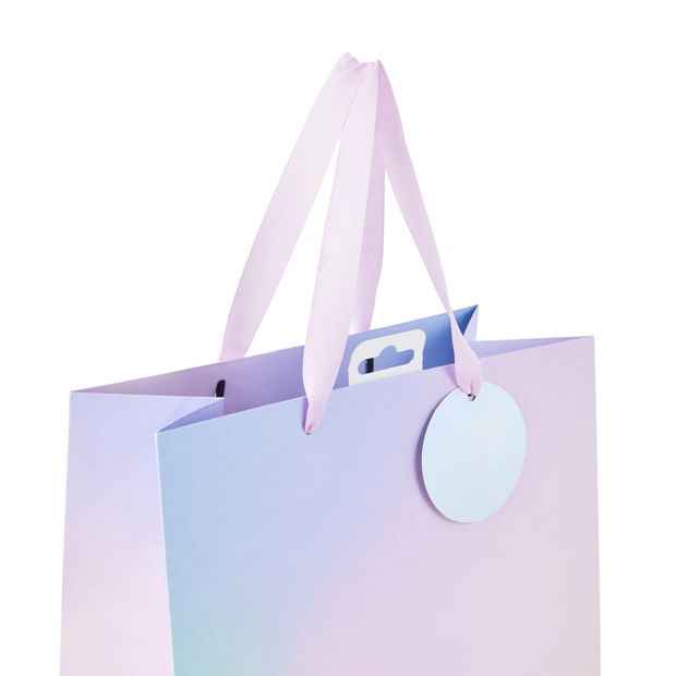 Ombre Gift Bag, Large - Anko