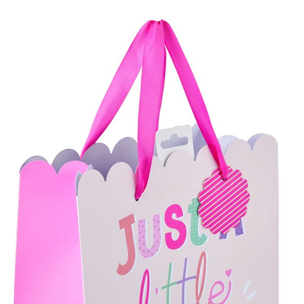 A Little Something Gift Bag, Large - Anko