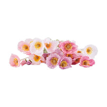 Artificial Pastel Poppies Bunch - Anko
