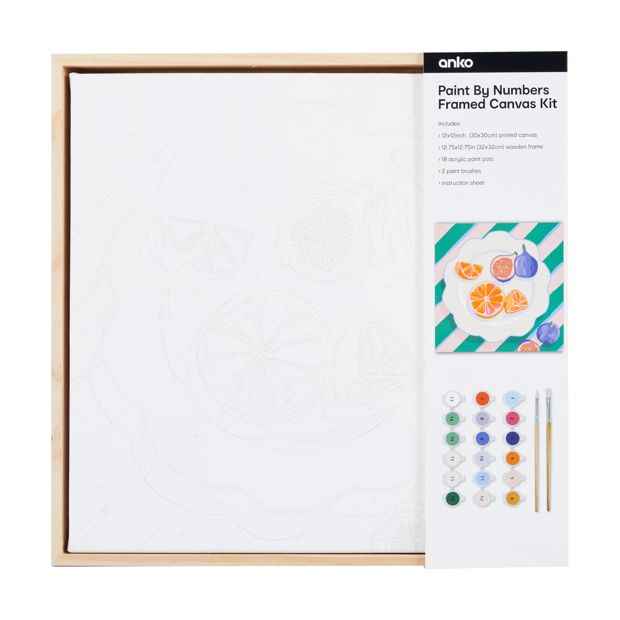 Paint By Numbers Framed Canvas Kit - Anko