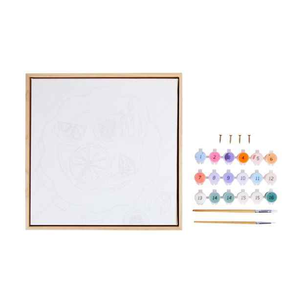 Paint By Numbers Framed Canvas Kit - Anko