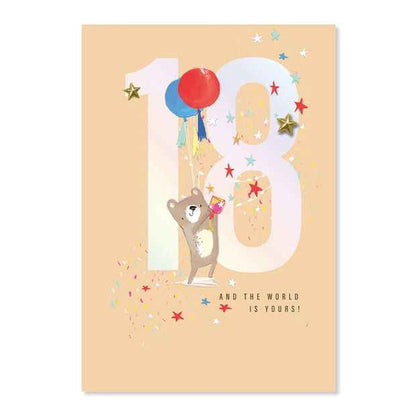 Connections from Hallmark 18th Birthday Card - Birthday Bear