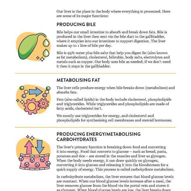 The Liver Repair Plan by Sarah Di Lorenzo - Book