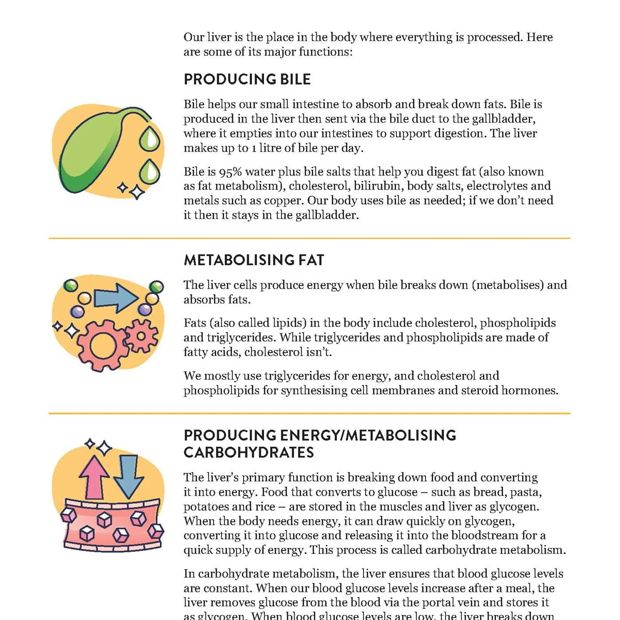 The Liver Repair Plan by Sarah Di Lorenzo - Book