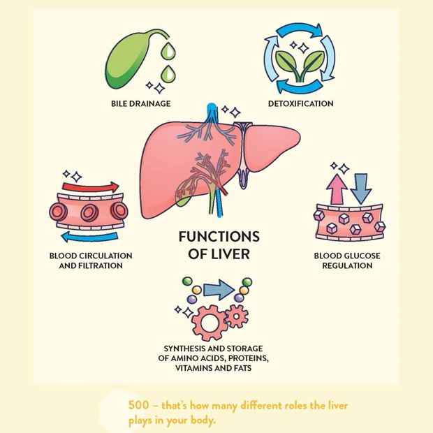 The Liver Repair Plan by Sarah Di Lorenzo - Book