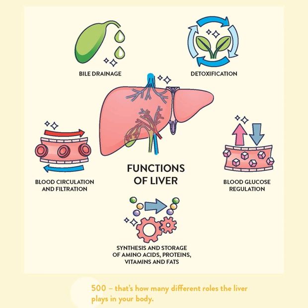 The Liver Repair Plan by Sarah Di Lorenzo - Book